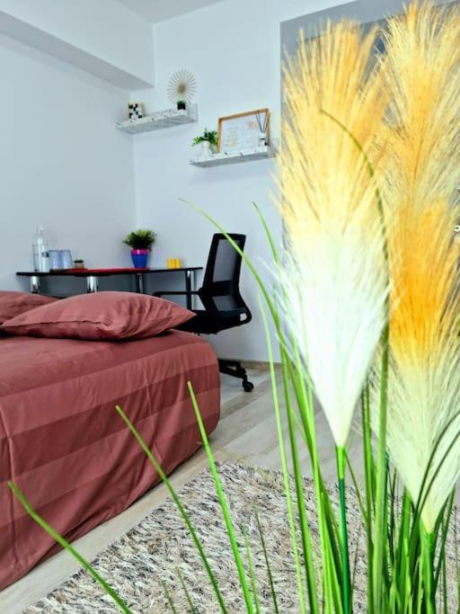 Апартаменти Ultracentral Magheru Studio Бухарест Екстер'єр фото